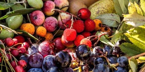 Dieta bogata w antyoksydanty – jak wpływa na zdrowie?